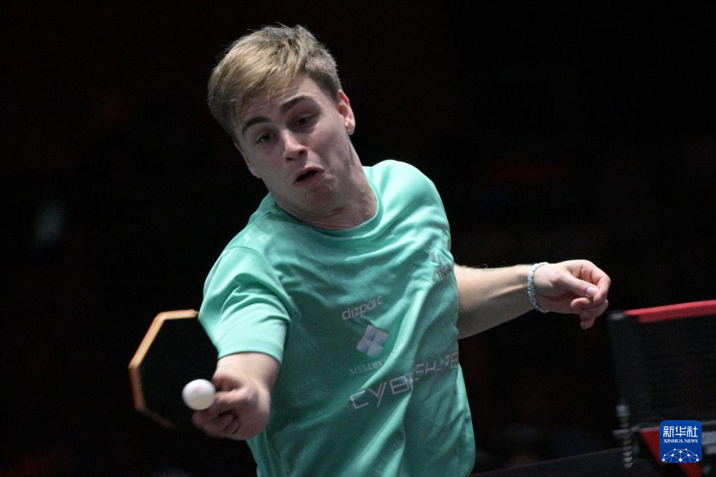 在今年的世 在今年的世