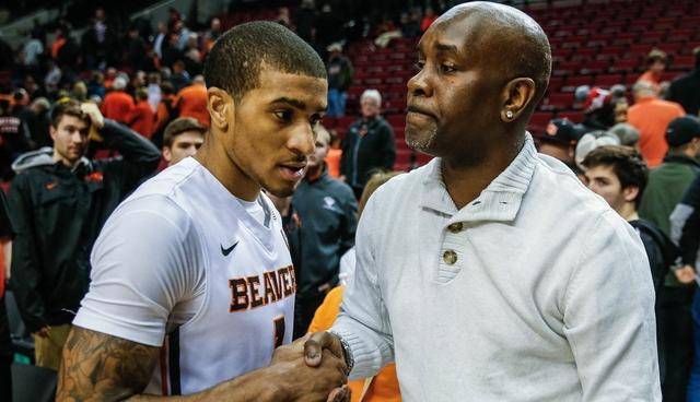 朱婷在加盟 朱婷在加盟