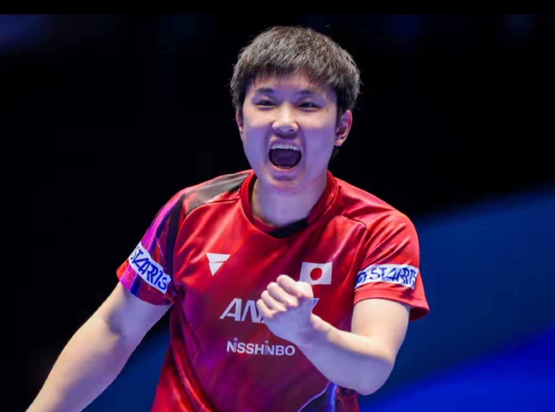 当时的反弹 当时的反弹