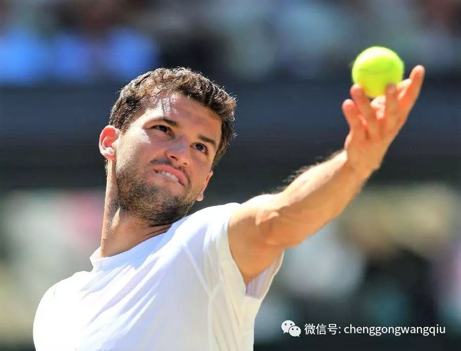 因为它揭示 因为它揭示